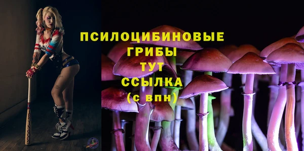первитин Абаза