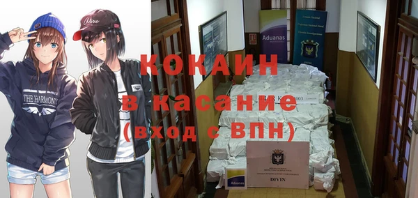 прущие грибы Абинск